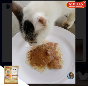 MISHA Wet Cat Food Pouch Mackerel Salmon 90g x 14 Pouches