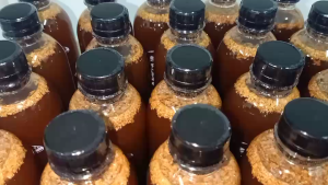 เชื้อเห็ดไคหรือเห็ดหล่มเข้มข้น 1 ขวด 500 ML ราคาถูกต้อง ของแถมทุกออเดอร์