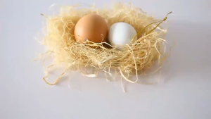 Bird Nest Jute Nesting Material for African Lovebirds Accessories