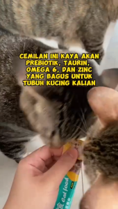 Snack Kucing Kitten Murah Cemilan Kucing Basah Cod Penggemuk Kucing Makanan Kucing Snack Cat 15gr