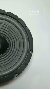 IKONIC Speaker 8 Inch Pasif Speaker Woofer 818 Power Speaker 200 Watt Original Bergaransi Resmi