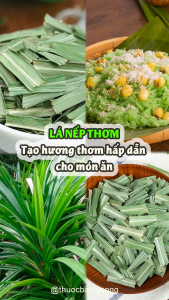 Lá Nếp Sấy Lạnh 1Kg (Lá Dứa Lá Thơm)