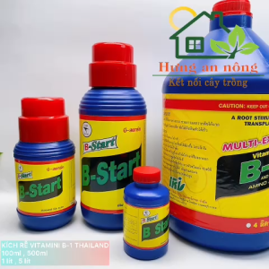 Can 4000ml - Kích rễ Vitamin B-1 Multi Extra Thailand cung cấp dưỡng chất phục hồi rễ yếu cây tốt.