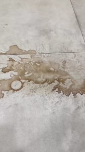 Combo 2 chai nước lau sàn Dr.Wash 1L hương hoa nắng và sả & chanh làm thơm khử mùi hiệu quả - SPCa000043