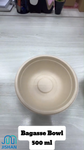 [CTN] 7/9/10" Biodegradable Plate Bowl/ Sugarcane Bagasse Pulp Bio Pinggan Mangkuk / Eco Sustainable Kenduri Party 可降解盘碗