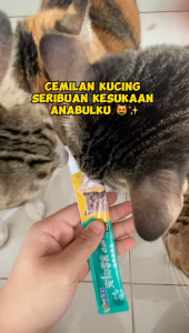 Snack Kucing dan Anjing Cat Strip Kitten dan Kucing Adult Cemilan Kucin Kaya Nutrisi dan Membantu Pencernaan Mencegah Alergi Food Strip Stick Treats Murah