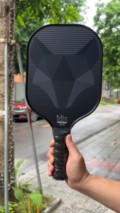 Vợt Pickleball hiệu Bliz Carbon Fiber T300 cao cấp BlizLB-01