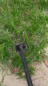 Alat Berkebun Cangkul Serbaguna 2-in-1 Dengan Garpu Penggali