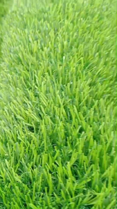 (แบบแบ่งตัด 2-10 ตรม.)หญ้าเทียมขนาด 3 cm.พรีเมี่ยม ขนหญ้าแน่นหนาใช้งานได้ทั้งกลางแจ้งและในร่ม สวยพรีเมี่ยมสุดของรุ้นนี้ ใช้ตกแต่งบ้าน และสวน ให้สวยงาม