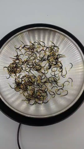 เบ็ดตกปลา (ชุด10ชิ้น) ขอเบ็ด ขอเบ็ดทังสเตน ตะขอเบ็ดตกปลา เบ็ด จินุ เบ็ด ชินุ ก้นแบน ตะขอเบ็ดตกปลาแบบเหล็ก