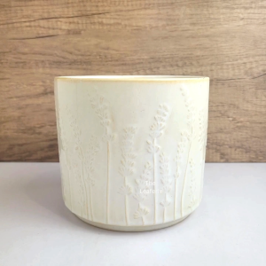 The Leaferie Saffron plant pots. flowerpot . flowerpots . flower pot . planter . planters . Ceramic . Plants