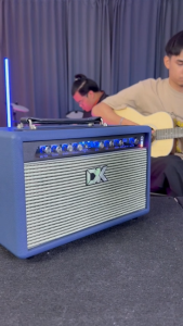 แอมป์อคูสติค แอมป์กีต้าร์ DK iE-35 Electric Electric Bass Amplifier Ie 35 Amplifier - Lazada