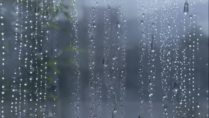 Mặt nạ giấy phục hồi trẻ hoá da mịn màng  My Beauty Diary phiên bản Đài Loan 23ml/ miếng