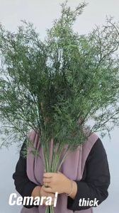 Daun Cemara Jumbo Salju Hias Dekorasi