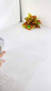 Kotak Penyimpanan Makanan Tempat Bekal Include 4 Mini Size Toples Bumbu Dapur -FH-11