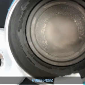 248g Delimer Pembersih Kerak Mesin Noda Teh Dan Kopi Descaler