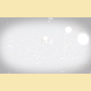 (1 กระปุก) หลินตัง สมุนไพรลดน้ำตาล อาหารเสริมปรับระดับน้ำตาล บำรุงร่างกาย ขนาด 30 แคปซูล