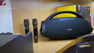 Loa bluetooth không dây W-King D20 công suất 200W kèm 2 míc karaoke chống nước