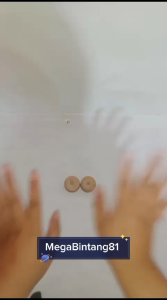 Klep Kulit Sprayer 14 Liter & Klep Kulit Sprayer Swan