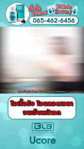 Balance Ucore - BLU ยูคอร์ โปรโมชั่น 4 แถม 2 สำหรับภูมิแพ้ ไซนัส ไอเรื้อรัง ไมเกรน Balance Ucore - BLU Ucore promotion buy 2 get 1 free for allergies sinus chronic cough migraine.