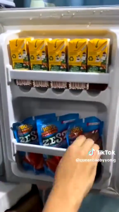 Mini Refrigerator With Freezer 64L Refrigerators For Room Office Frost Fridge Save Electricity 2 Layer Feezing Refrigerator Inverter Personal Ref Space Saver Keep Food Fresh