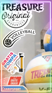 Treasure Volley Ball V-Pro 2000