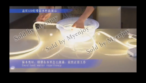 3Colors LED Strip Light [Free EU Plug] 2835 Silicone Waterproof LED Strip Light Outdoor Garden Party Home Decoration