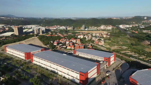 【BUY 1 TAKE 1】Pepersog Pull-up Pants Baby diaper pants bundle 100pcs/ Size Medium Large XL XXL