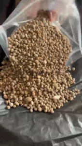 Pupuk NPK 12-12-17-2 + TE Merk Bunga Merah repack 1Kg Nutrisi Tanaman Lengkap Pupuk Untuk Pertumbuhan Optimal - Lazada