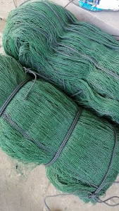 Lưới Gào Gà Vịt Trồng Cây Giàn Leo - Chiều Cao Lưới 2m ( Tính Theo Mét Tới ) Mắc Lưới 6P