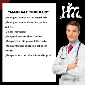 HerbalQulogy - TRI BULUS Isi 60 & 100 Kapsul Murni Alami 100% Tunggal Original 30 kapsul tribuluss