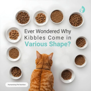 Pet Universe Nourish Cat Food Vitality Collection 1kg (Hairball  Indoor  Kitten  Hypoallergenic)