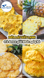 Dứa thái lát sấy lạnh 100g thơm sấy không đường và tổng hợp 20 loại trái cây tùy chọn - Thảo Dược Hạnh Nguyên