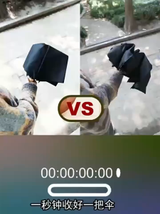 Dù Gấp Gọn Agnite Ô Che Nắng Mưa Cầm Tay Tự Động Đóng Mở 2 Chiều Chống Tia UV Chất Liệu Dày Dặn Chống Thấm