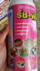 รีช-ฟิล์ม 1 ลิตร ไวออลย์ คุมใข่หนอนทุกชนิด ยับยั้งตัวอ่อน หนอนข้าวโพด หนอนห่อใบข้าวในข้าว หนอนกออ้อย
