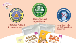 MommyJ Baby Instant Porridge 7 Months+ (Baby Congee) 80g x 3 Pouches (Chicken Cauliflower Salmon Pumpkin)