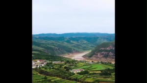 Soy Milk Plantbio Organic  Prebiotics High Fiber (Refill Pack)  700gm /Pack