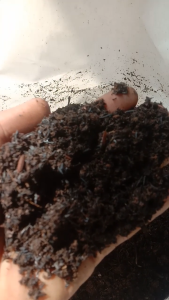 Tanah subur media tanam organik siap pakai kemasan jumbo 20 KG