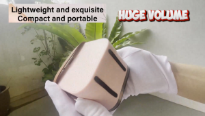 Portable Karaoke bluetooth speaker 2 Mic 1 Set Home Karaoke Speaker KTV Mini Portable Cute Wireless Microphone Outdoor