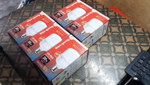 Bóng đèn led bulb Điện Quang 20W chính hãng