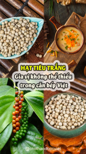 Hạt tiêu trắng 1kg tiêu sọ Phú Quốc cay thơm gia vị tẩm ướp chế biến món ăn kho xào chiên