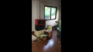 มิฎ เสียงที่ชัดเจน ไมโครโฟน ไมค์ มือถือ ไมโครโฟนไร้สาย สำหรับโฮมคารา ระดับมืออาชีพ 50m/164ft