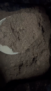 (ส่งฟรี)พีทมอส (บรรจุ 1 ลิตร) สำหรับปลูกพืชทั่วไป ดินเพาะต้นไม้พีทมอสเพาะต้นกล้า