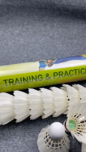 Hộp Cầu Lông Đế Gỗ XD104 (12 Quả) - Ống Cầu Lông Vịt Trái Cầu Lông Vũ Trắng Quả Cầu Lông Vịt Thi Đấu Và Luyện Tập