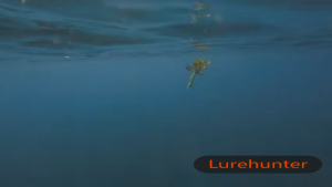 10Pcs Fishing Bait Set: Professional Minnow Lure & Accessories