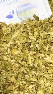 Lá cà ri 100g Curry leaves gia vị nấu cari ướp thịt - Thảo dược hạnh nguyên