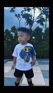 kaos anak laki laki 1-8 tahun kece karakter dino bahan cotton combed 30S