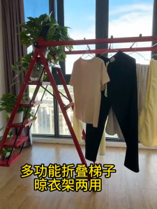 5 / 6 Steps Foldable Steel Ladder Lightweight Industrial Stairs With Hand Grip Tangga Lipat 梯子