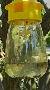 Fruit Fly Attractant Wasp Trap Killer Orchard Insect Repellent Trap Bait Beekeeping Beehive Tool