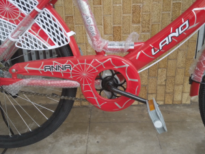 จักรยานแม่บ้าน จักรยานผู้ใหญ่ รถจักรยาน Umeko รุ่นริซ่า วงล้อ 24 นิ้ว ตะกร้าทูโทน